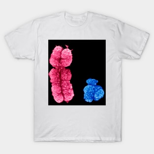 X and Y chromosomes (C003/0729) T-Shirt